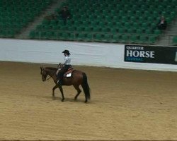 dressage horse Colonel Sugar Okie (Quarter Horse, 2003, from Okie Sanolena)
