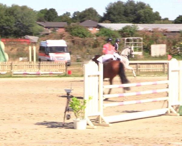 Reitturnier Schülp / Rendsburg 2022