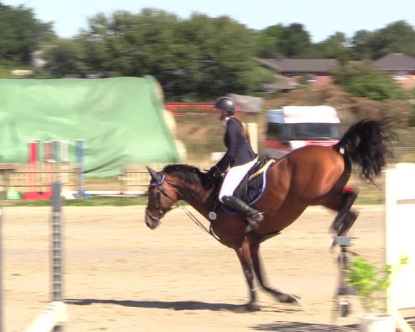 Reitturnier Schülp / Rendsburg 2022
