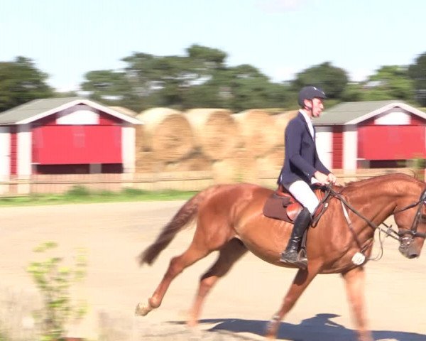 Reitturnier Schülp / Rendsburg 2022