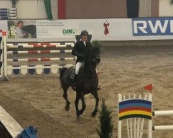broodmare Samira 245 (Sachse, 2002, from Accusé)