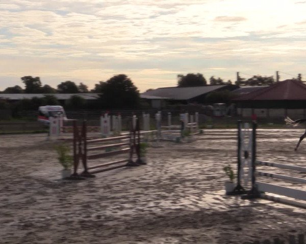 Reitturnier Schülp / Rendsburg 2022