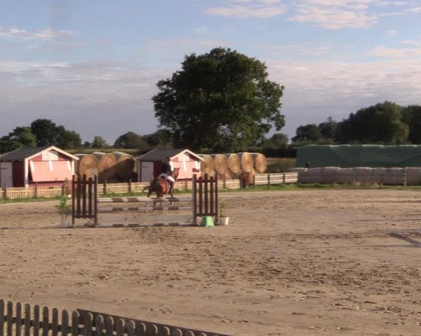 Reitturnier Schülp / Rendsburg 2022