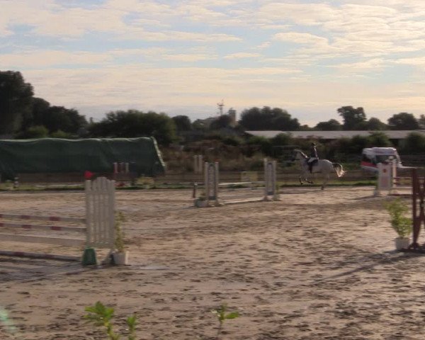 Reitturnier Schülp / Rendsburg 2022