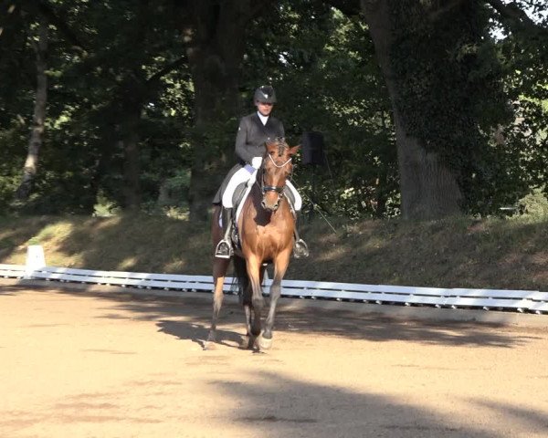 Reitturnier Hamburg-Bergstedt 2022