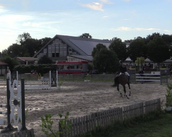 Reitturnier Schülp / Rendsburg 2022