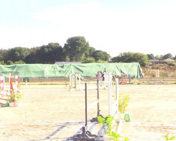 Reitturnier Schülp / Rendsburg 2022