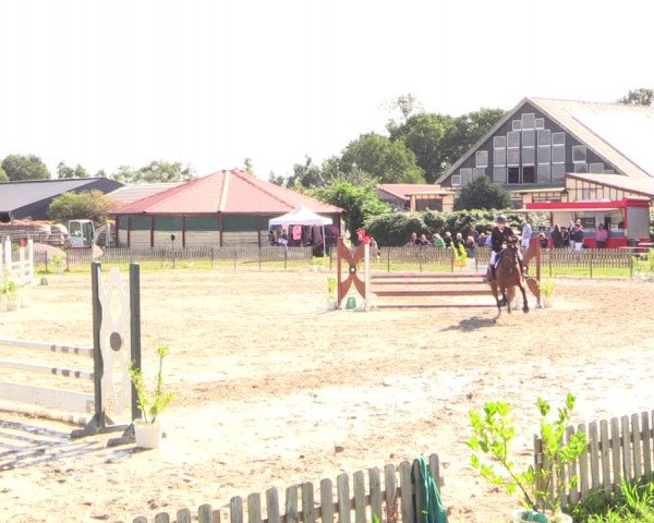 Reitturnier Schülp / Rendsburg 2022