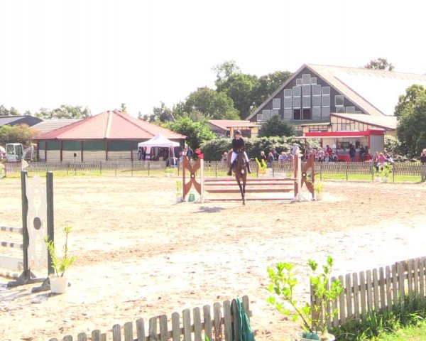Reitturnier Schülp / Rendsburg 2022