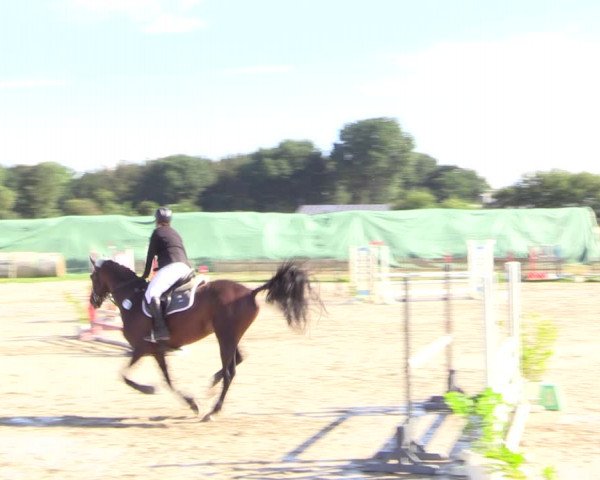 Reitturnier Schülp / Rendsburg 2022