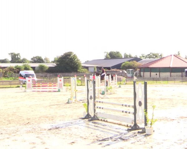Reitturnier Schülp / Rendsburg 2022