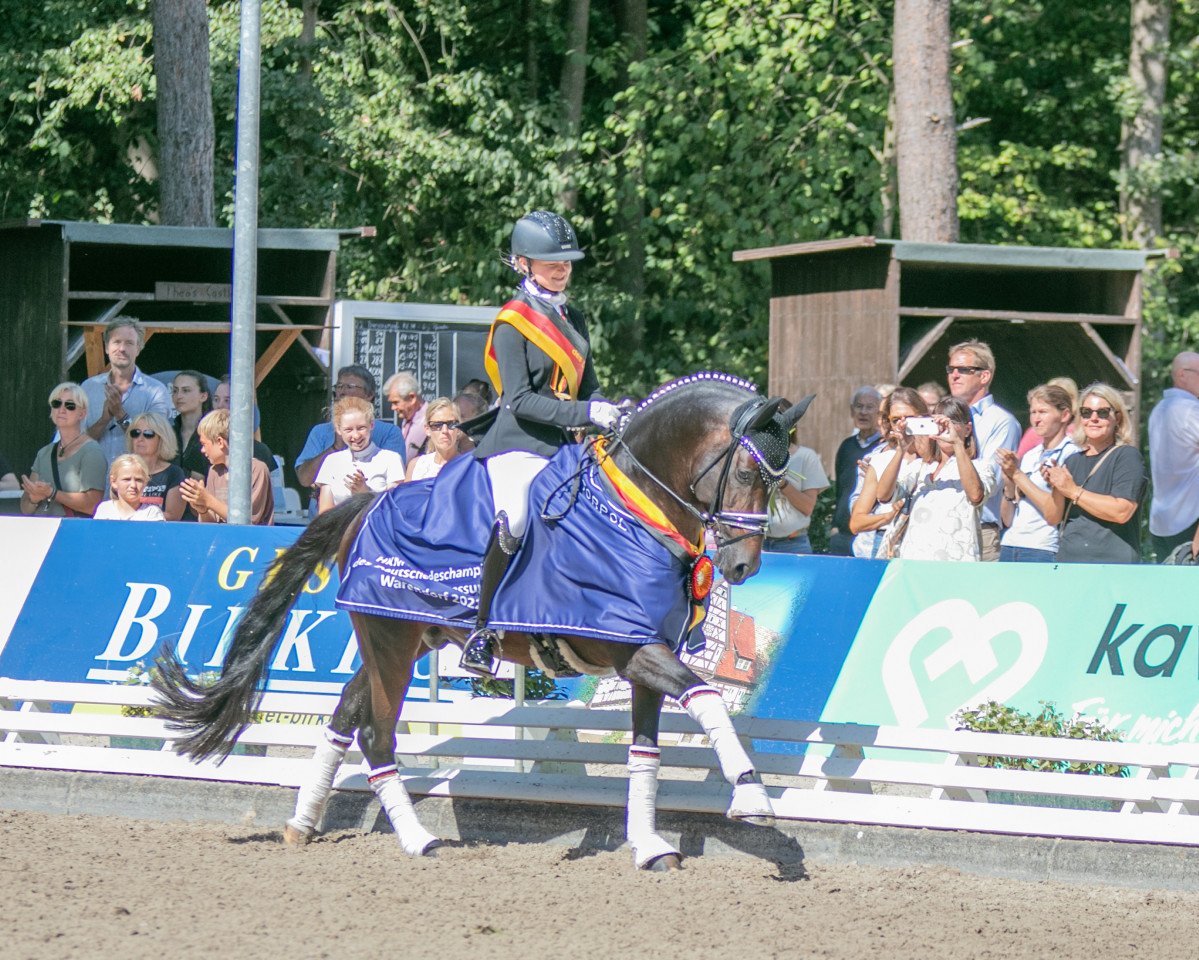 stallion Neverland WE (German Riding Pony, 2016, from Fs Numero Uno)