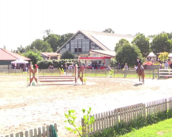 Reitturnier Schülp / Rendsburg 2022