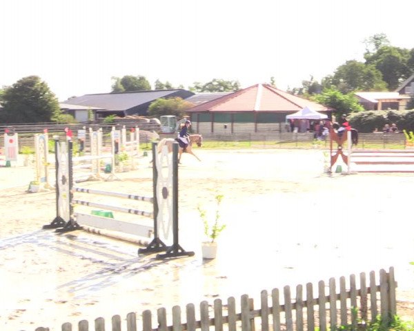 Reitturnier Schülp / Rendsburg 2022
