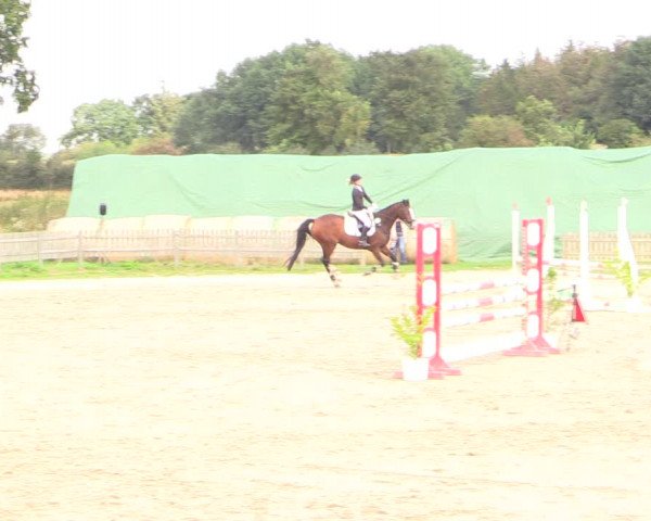 Reitturnier Schülp / Rendsburg 2022