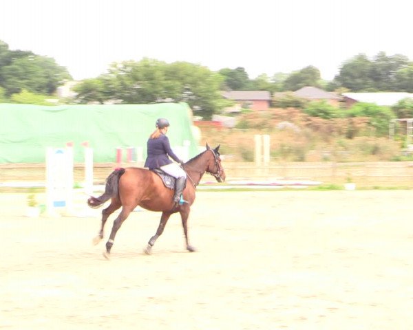 Reitturnier Schülp / Rendsburg 2022