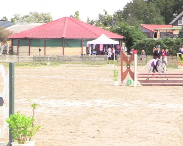 Reitturnier Schülp / Rendsburg 2022