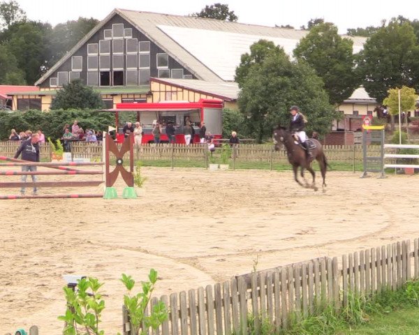 Reitturnier Schülp / Rendsburg 2022