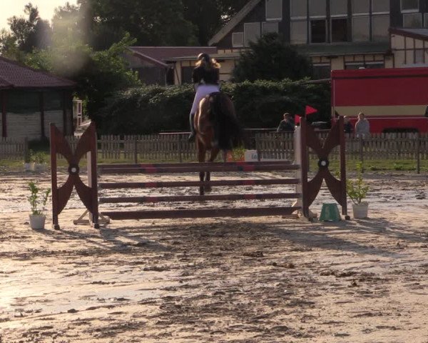 Reitturnier Schülp / Rendsburg 2022