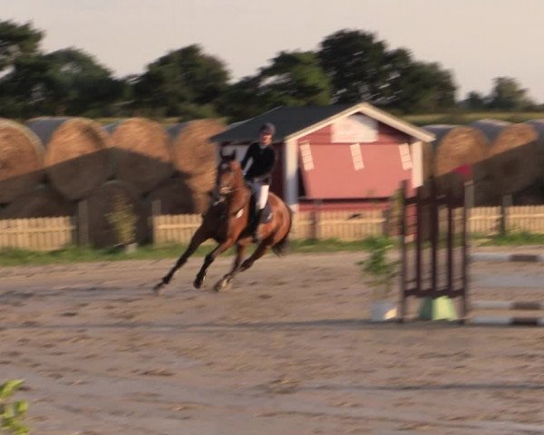 Reitturnier Schülp / Rendsburg 2022