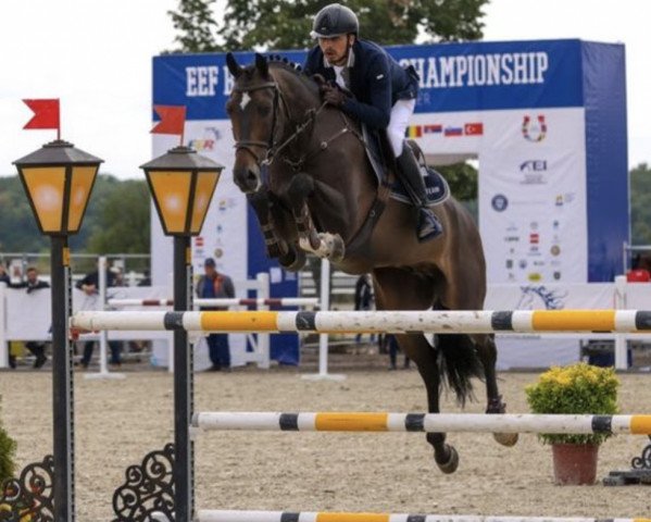 Springpferd Furiano B (KWPN (Niederländisches Warmblut), 2010, von Viceroy T)