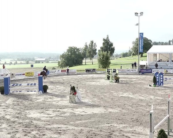 Reitturnier Humlikon 2022
