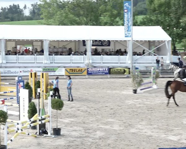 Reitturnier Humlikon 2022