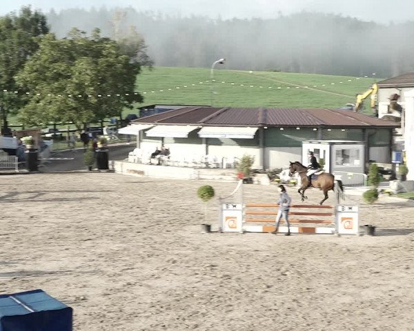 Reitturnier Humlikon 2022