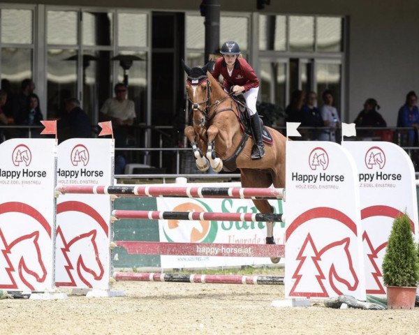jumper Obora's Asturias (Oldenburg show jumper, 2012, from Action-Breaker)