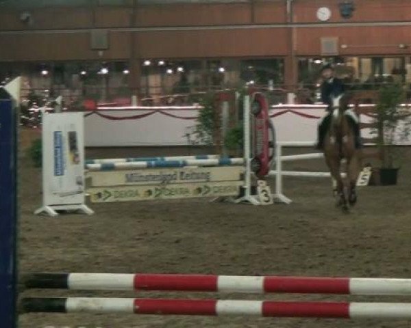 jumper Ma Petite 20 (German Riding Pony, 1996, from Mentos)
