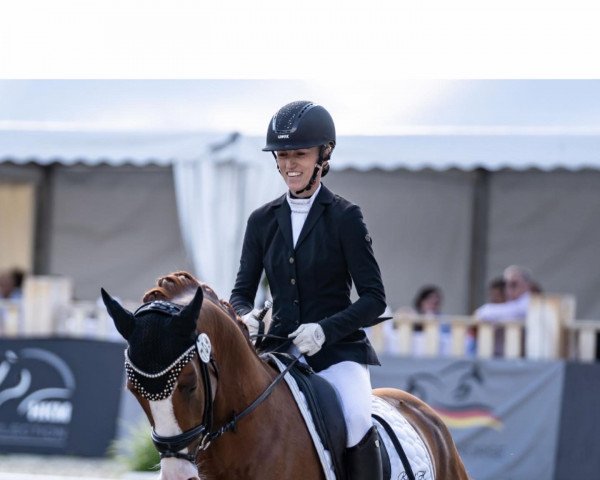 Deckhengst Mr. Always Right (Deutsches Reitpony, 2018, von FS Mr. President)