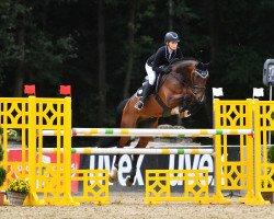 jumper Bain's Cape Mountain (Hanoverian, 2014, from Balou du Rouet)