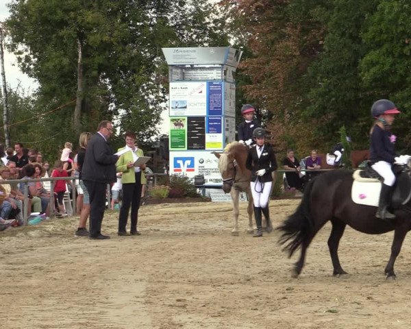 Reitturnier Meinerzhagen 2022