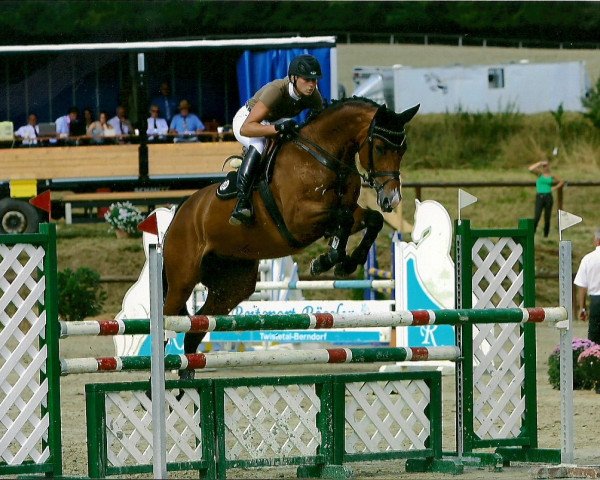 broodmare Luisa 53 (Oldenburg, 2005, from Luxius)