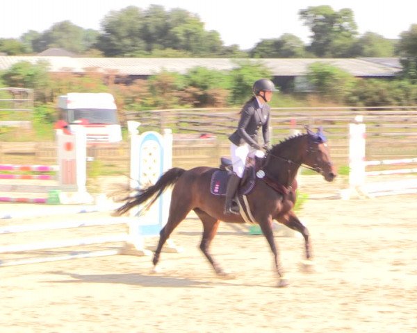 Reitturnier Schülp / Rendsburg 2022