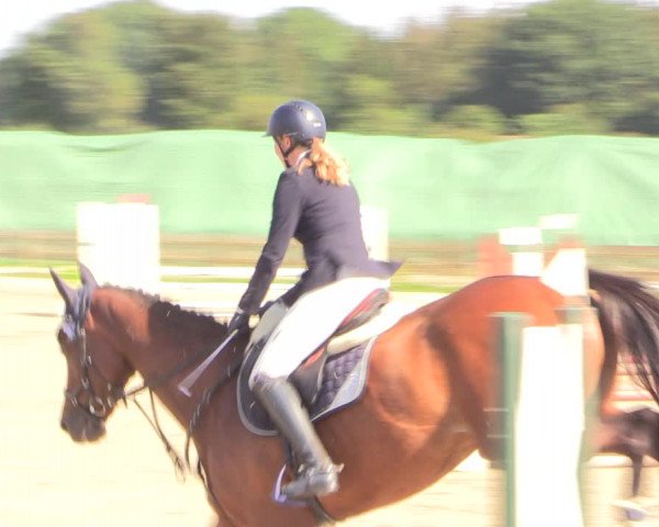 Reitturnier Schülp / Rendsburg 2022