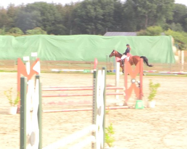 Reitturnier Schülp / Rendsburg 2022