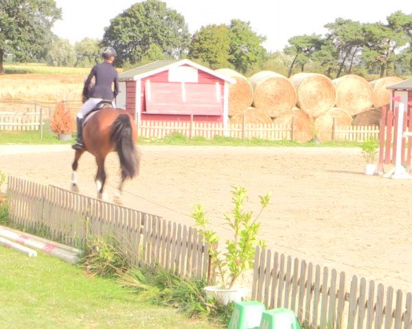 Reitturnier Schülp / Rendsburg 2022