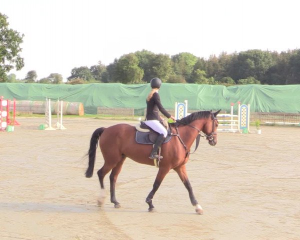 Reitturnier Schülp / Rendsburg 2022