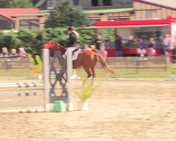 Reitturnier Schülp / Rendsburg 2022