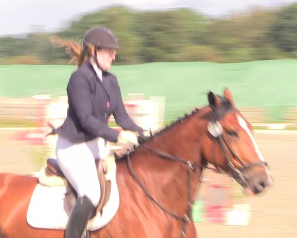 Reitturnier Schülp / Rendsburg 2022