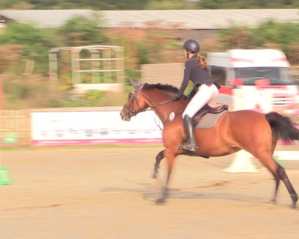 Reitturnier Schülp / Rendsburg 2022