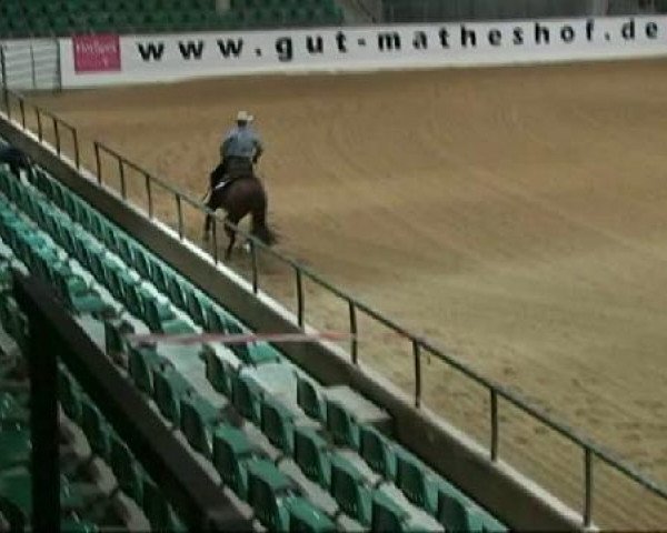 horse Peppy Steppin Jac (unknown,  , from Hes A Steppin Jac)