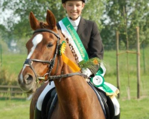 horse Veronique II (Trakehner, 1993, from Abisko)