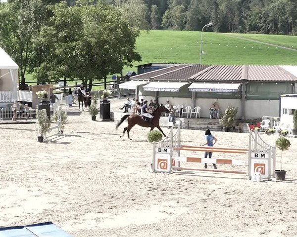 Reitturnier Humlikon 2022