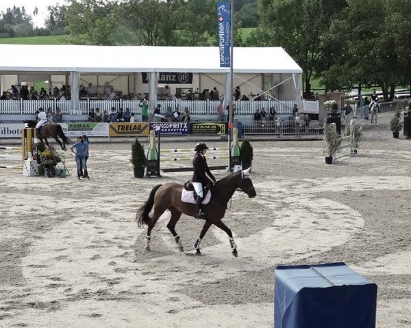 Reitturnier Humlikon 2022