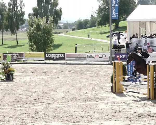 Reitturnier Humlikon 2022