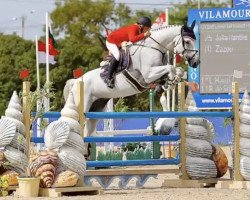 jumper Zazou (KWPN (Royal Dutch Sporthorse), 2004, from Casco 4)