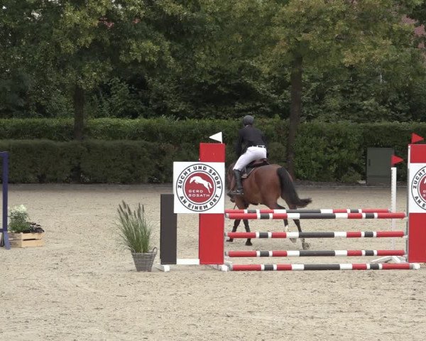 Reitturnier Lemwerder 2022