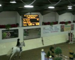 broodmare Top Knotch (unknown, 1993)